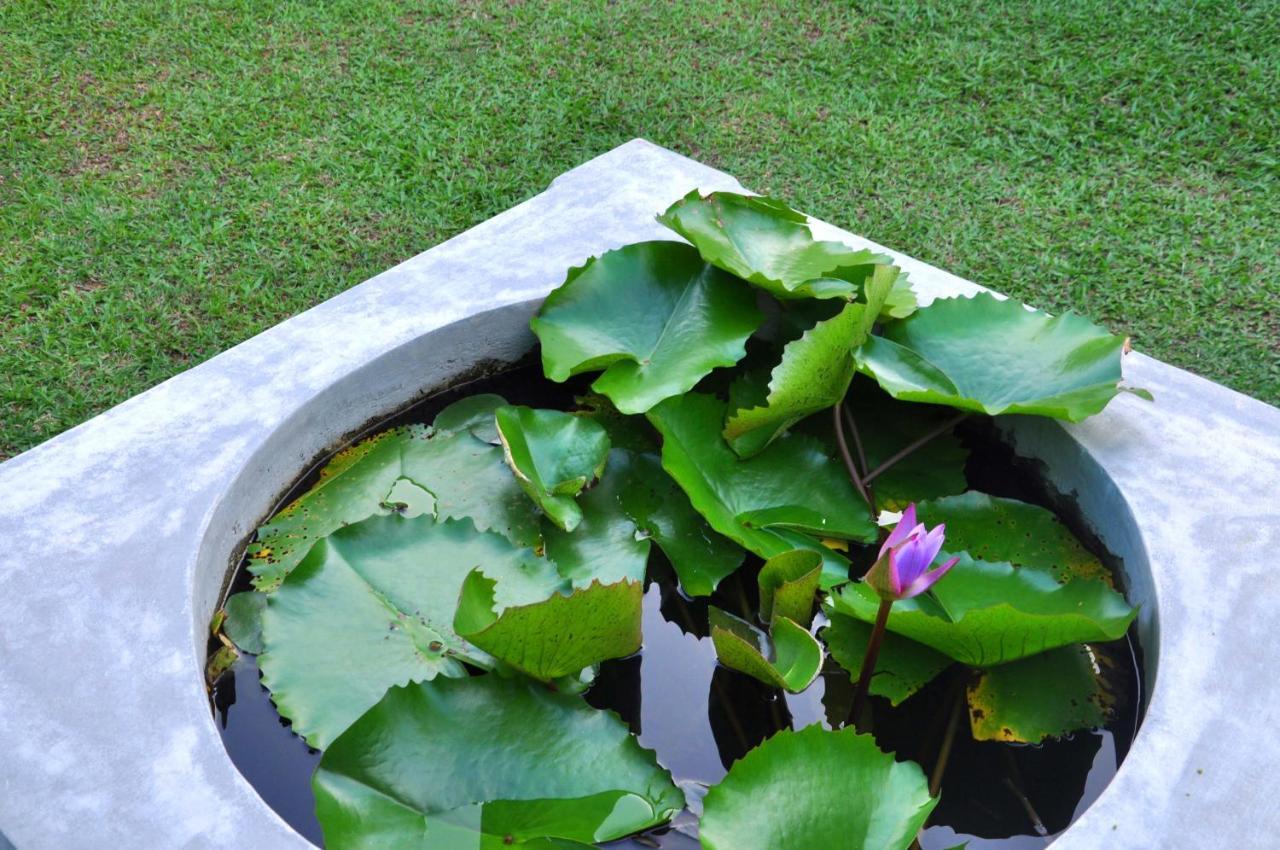 Mama Villa 希克杜沃 外观 照片